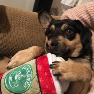 Meet your Posher, Janelle